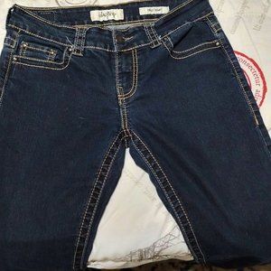 Daytrip Virgo Skinny SIze 28L